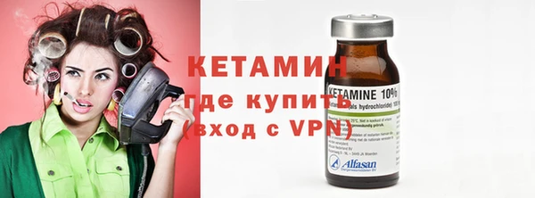 стаф Ельня
