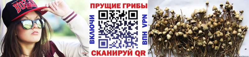 Галлюциногенные грибы мухоморы  Улан-Удэ 